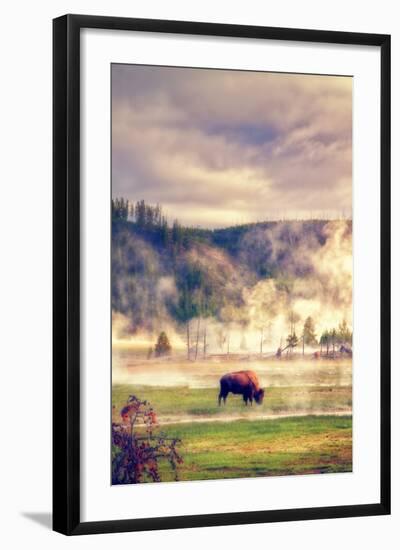 Bison in the Mist-Vincent James-Framed Photographic Print