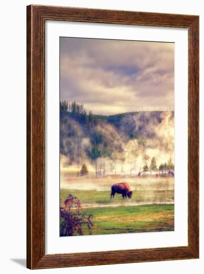 Bison in the Mist-Vincent James-Framed Photographic Print