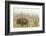 Bison in Theodore Roosevelt National Park, North Dakota, Usa-Chuck Haney-Framed Photographic Print