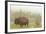 Bison in Theodore Roosevelt National Park, North Dakota, Usa-Chuck Haney-Framed Photographic Print