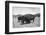 Bison in Wildlife Refuge-Philip Gendreau-Framed Photographic Print