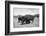 Bison in Wildlife Refuge-Philip Gendreau-Framed Photographic Print