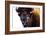 Bison in Yellowstone National Park-Jason Savage-Framed Giclee Print