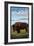 Bison, Montana-Lantern Press-Framed Art Print