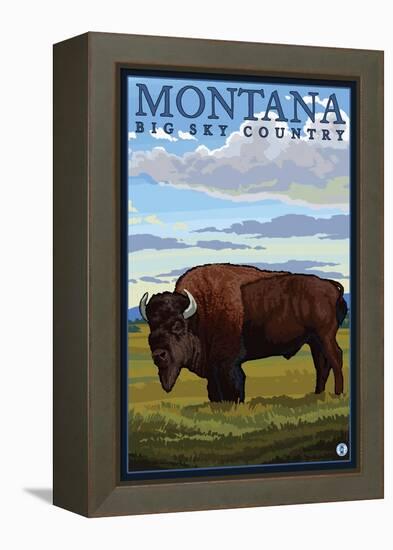 Bison, Montana-Lantern Press-Framed Stretched Canvas