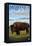 Bison, Montana-Lantern Press-Framed Stretched Canvas