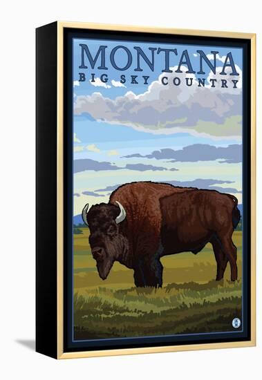 Bison, Montana-Lantern Press-Framed Stretched Canvas