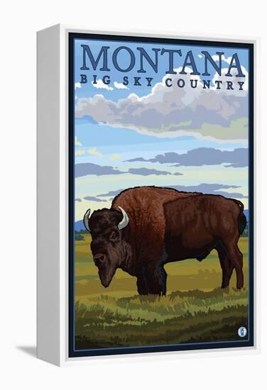 Bison, Montana-Lantern Press-Framed Stretched Canvas