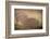 Bison Morning Mist Yellowstone-Steve Gadomski-Framed Photographic Print