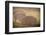 Bison Morning Mist Yellowstone-Steve Gadomski-Framed Photographic Print