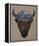 Bison Peak-Davies Babies-Framed Stretched Canvas