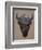 Bison Peak-Davies Babies-Framed Premium Giclee Print