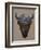 Bison Peak-Davies Babies-Framed Premium Giclee Print