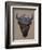 Bison Peak-Davies Babies-Framed Premium Giclee Print