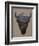 Bison Peak-Davies Babies-Framed Premium Giclee Print