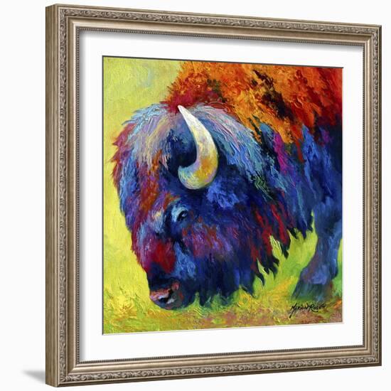 Bison Portrait II-Marion Rose-Framed Giclee Print