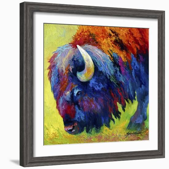 Bison Portrait II-Marion Rose-Framed Giclee Print