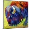 Bison Portrait II-Marion Rose-Mounted Giclee Print