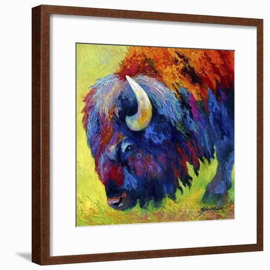 Bison Portrait II-Marion Rose-Framed Giclee Print