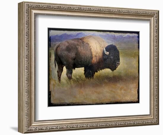 Bison Portrait II-Chris Vest-Framed Art Print