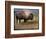 Bison Portrait II-Chris Vest-Framed Art Print