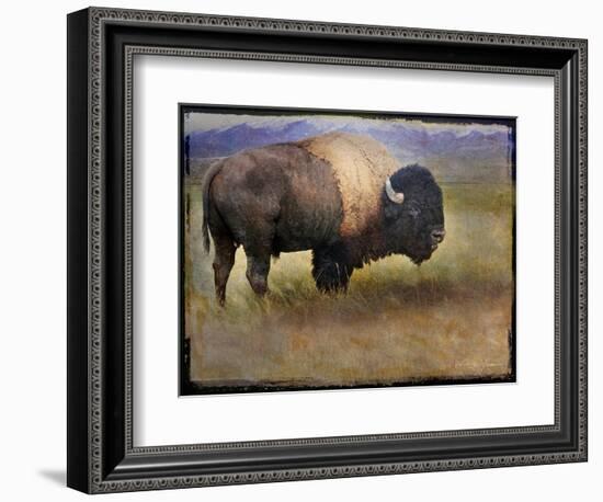 Bison Portrait II-Chris Vest-Framed Art Print