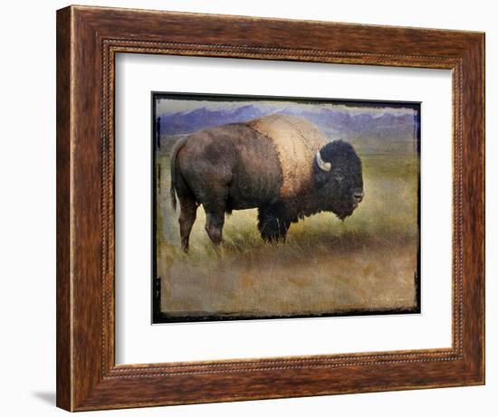 Bison Portrait II-Chris Vest-Framed Premium Giclee Print