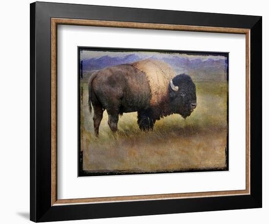 Bison Portrait II-Chris Vest-Framed Premium Giclee Print