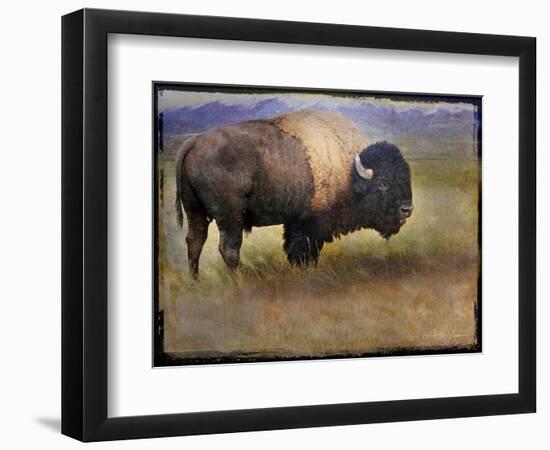 Bison Portrait II-Chris Vest-Framed Premium Giclee Print