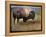 Bison Portrait II-Chris Vest-Framed Stretched Canvas