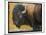 Bison Portrait III-Chris Vest-Mounted Art Print