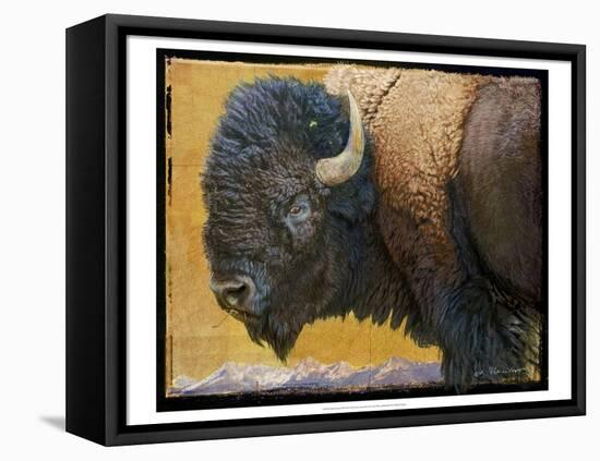 Bison Portrait III-Chris Vest-Framed Stretched Canvas