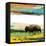 Bison Primary Decision-Sisa Jasper-Framed Stretched Canvas