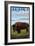 Bison Scene, Alaska-Lantern Press-Framed Art Print