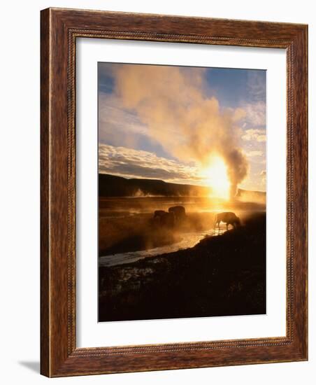 Bison Silhouetted at Sunrise as Old Faithful Erupts, Yellowstone National Park, Wyoming, USA-Adam Jones-Framed Photographic Print