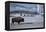 Bison Standing near Geysers in Winter-W^ Perry Conway-Framed Premier Image Canvas