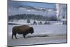 Bison Standing near Geysers in Winter-W^ Perry Conway-Mounted Photographic Print