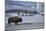 Bison Standing near Geysers in Winter-W^ Perry Conway-Mounted Photographic Print