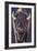 Bison Up Close-Lantern Press-Framed Art Print