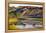 Bison Wildlife Crossing Little Missouri River, Theodore Roosevelt National Park, North Dakota, USA-Chuck Haney-Framed Premier Image Canvas