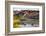 Bison Wildlife Crossing Little Missouri River, Theodore Roosevelt National Park, North Dakota, USA-Chuck Haney-Framed Photographic Print