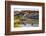 Bison Wildlife Crossing Little Missouri River, Theodore Roosevelt National Park, North Dakota, USA-Chuck Haney-Framed Photographic Print