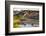 Bison Wildlife Crossing Little Missouri River, Theodore Roosevelt National Park, North Dakota, USA-Chuck Haney-Framed Photographic Print