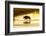 Bison Wildlife Crossing Little Missouri River, Theodore Roosevelt National Park, North Dakota, USA-Chuck Haney-Framed Photographic Print