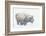 Bison, winter storm-Ken Archer-Framed Photographic Print