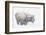 Bison, winter storm-Ken Archer-Framed Photographic Print