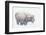 Bison, winter storm-Ken Archer-Framed Photographic Print