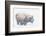 Bison, winter storm-Ken Archer-Framed Photographic Print