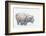 Bison, winter storm-Ken Archer-Framed Photographic Print