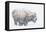 Bison, winter storm-Ken Archer-Framed Premier Image Canvas